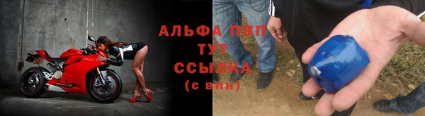 хмурый Алзамай
