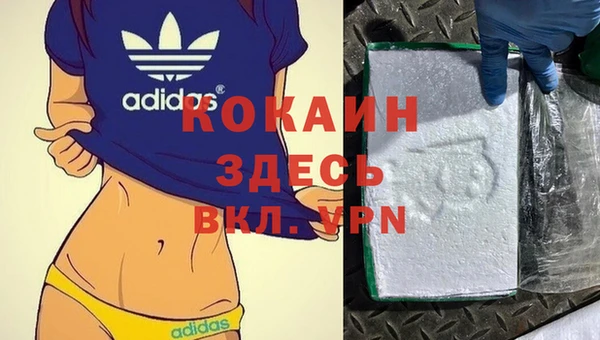 хмурый Алзамай