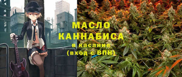 дмт Алексин
