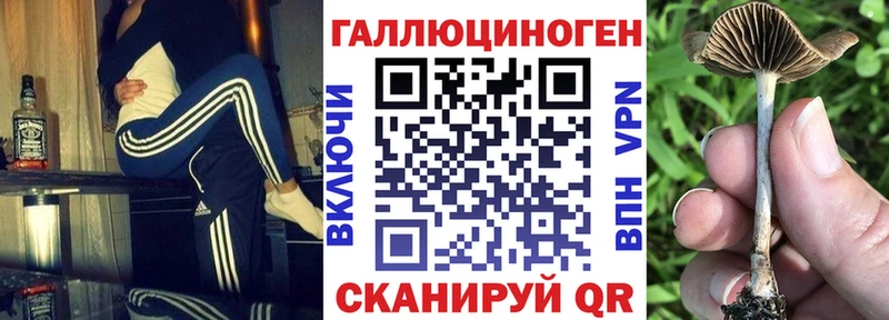 Галлюциногенные грибы Cubensis  дарнет шоп  KRAKEN рабочий сайт  shop телеграм  Кола 