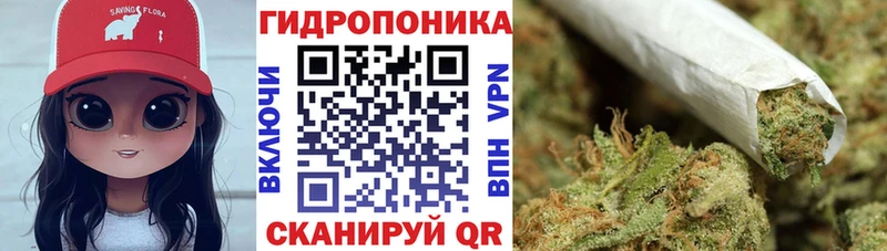 сколько стоит  Кола  Марихуана гибрид 
